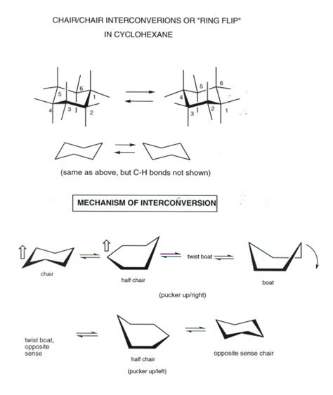 Cyclohexane Conformational Analysis