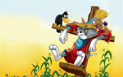 Tom and Jerry, animation, mouse, movie, field, cat, yom and jerry, vara, summer, HD wallpaper ...