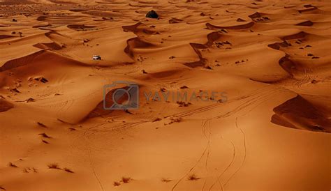 A Picturesque Sahara Desert landscape by TravelSync27 Vectors ...