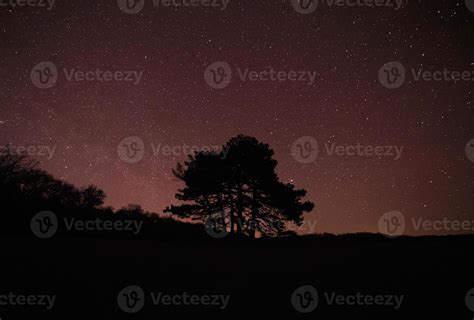 silhouette of tree against starry night sky 22800324 Stock Photo at Vecteezy