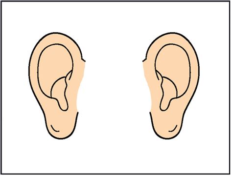 Ears - ClipArt Best