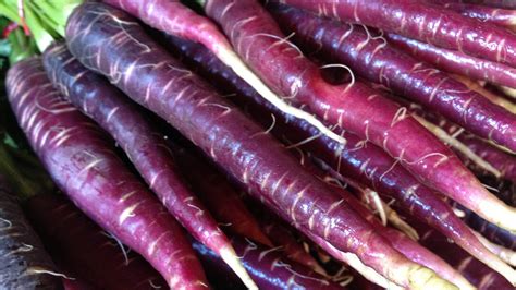 Purple Carrot Review | Wall Street International Magazine