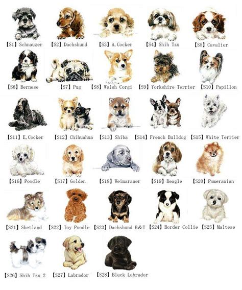 With dog breeds there’s an enormous variation the way dogs acts and reacts socially t… | Races ...