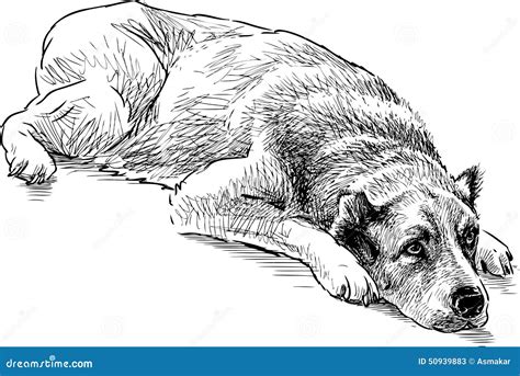 Dog vector, Vector drawing, Dogs