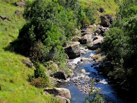 Burbling Mountain Stream Free Stock Photo - Public Domain Pictures