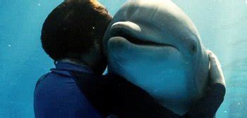 Watch: Charming & Inspirational New 'Dolphin Tale' Theatrical Trailer | FirstShowing.net