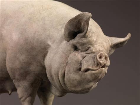 Sculpture can be a real source of inspiration don't you think? See more at pullcast.eu | Pig ...