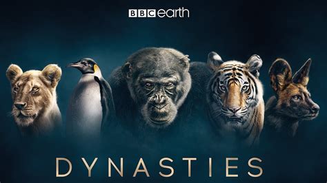 Sir David Attenborough Follows Five Animal Families in BBC's "Dynasties"