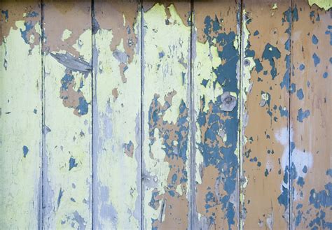 Old wood door / Texture Free Photo Download | FreeImages