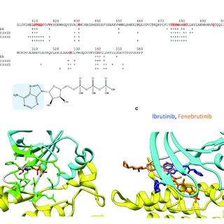 (PDF) Structure-Function Relationships of Covalent and Non-Covalent BTK Inhibitors