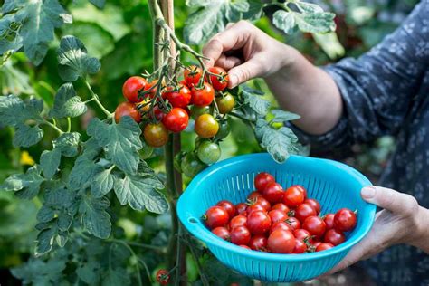 Harvesting Activities - Is it Organic?