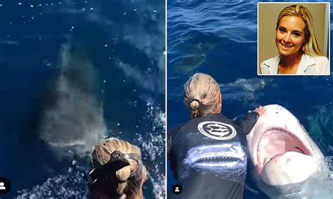 Moment diving expert narrowly avoids tiger shark as she's about to enter murky waters in Hawaii