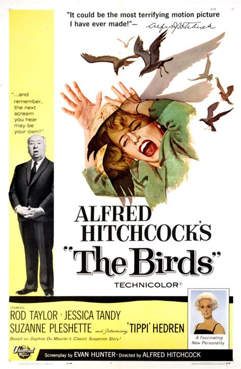 The Birds Movie Poster (#1 of 6) - IMP Awards