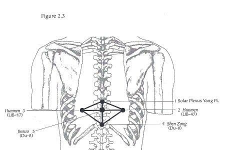 Image result for solar plexus diagram | Plexus products, Diagram, Image