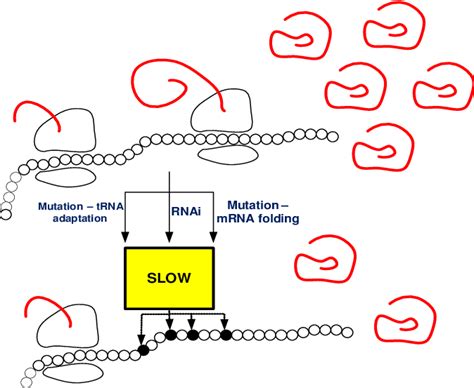 The problem we consider is how to efficiently select transition rates ...