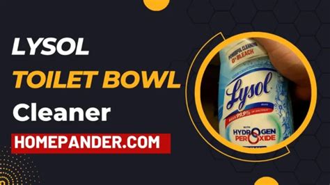 Lysol Vs Clorox Toilet Bowl Cleaner: Which One to Pick - HomePander