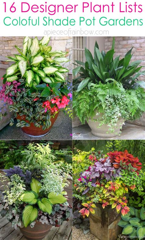 16 Colorful Shade Garden Pots & Plant Lists - A Piece Of Rainbow