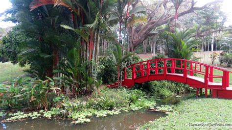 Passing some time in the Botanical Garden / Jardin Botanico San Juan UPR | PRDayTrips