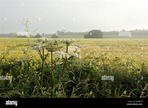 Worcestershire countryside England Stock Photo - Alamy