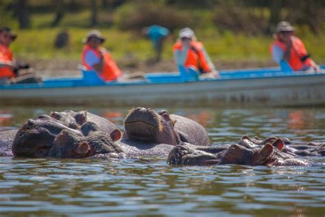 Vacation at Lake Naivasha - Tourist Attractions in Kenya