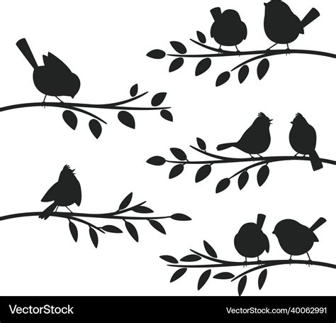 Birds branches silhouettes bird set on leaves Vector Image