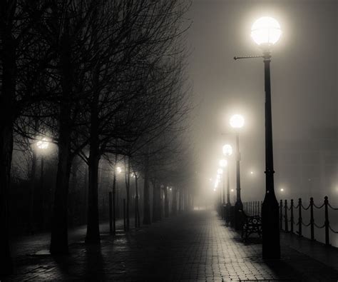 Street Lights | Misty night, Foggy street, Street at night