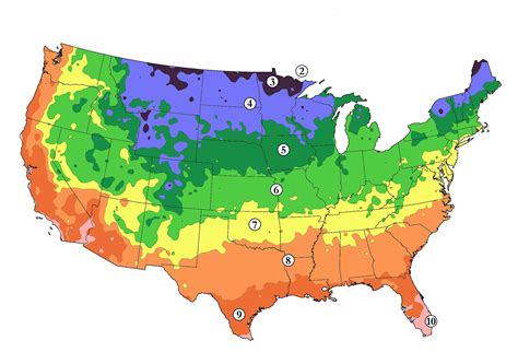 Apariencia cordura Mostrarte temperate climate map idiota Aditivo Nuevo ...