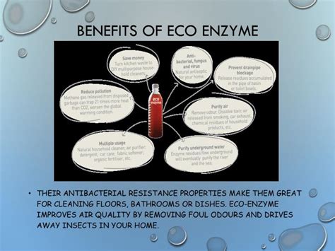 PPT - How to make your own eco-enzyme detergent PowerPoint Presentation - ID:2863572