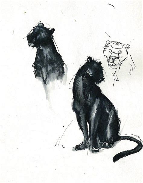 Sketches of Bagheera, from the jungle book, done with ink. -winderly Drawing Lessons, Painting ...