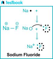 Sodium Fluoride Formula: Structure, Preparation, Properties, Uses