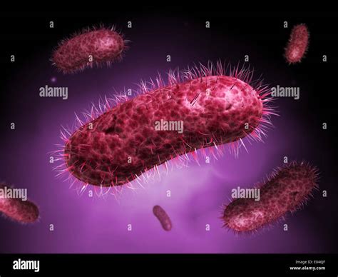 Microscopic Bacteria