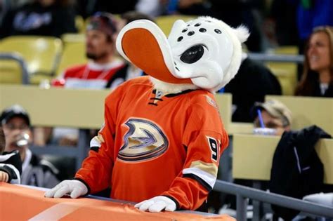 Los Angeles Kings vs. Anaheim Ducks: Mascot Showdown! - The Hockey News