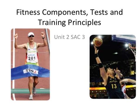 Fitness components tests & training principles