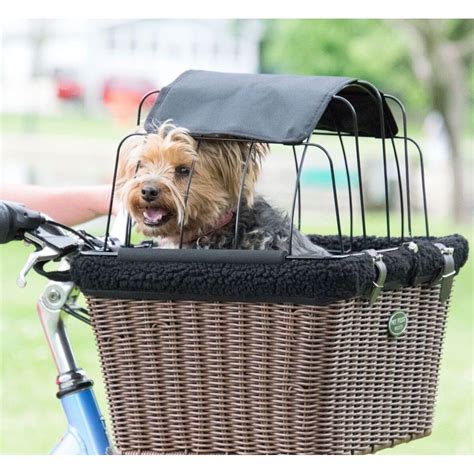 Travelin K9 PTW-8274 Max Wicker Bike Basket - Walmart.com | Biking with dog, Bicycle basket ...