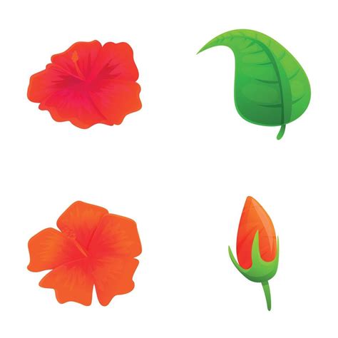 Hibiscus flower icons set cartoon vector. Blooming red hibiscus with ...