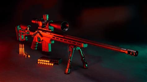 Punisher Collection And Precision Rifle - American Gun Association