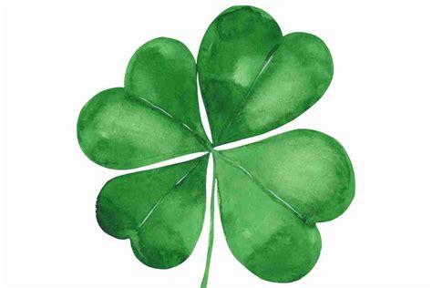 Four-Leaf Clover Drawing Tutorial: How to Draw a Lucky Clover - Improve Drawing