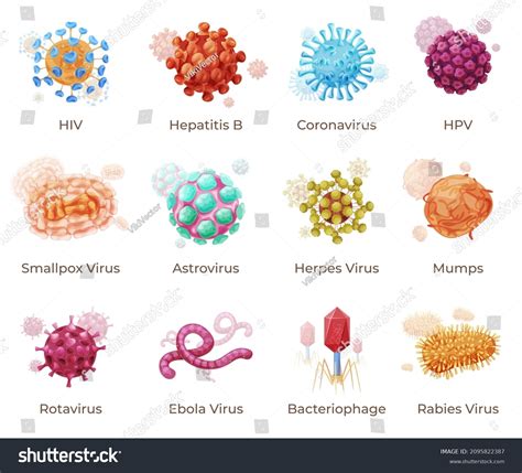 Human Viruses Names Infographic Collection Vector Stock Vector (Royalty Free) 2095822387 ...