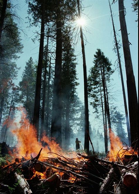 Yosemite Wildfire Spreads As Homes, Campgrounds Evacuated | HuffPost ...