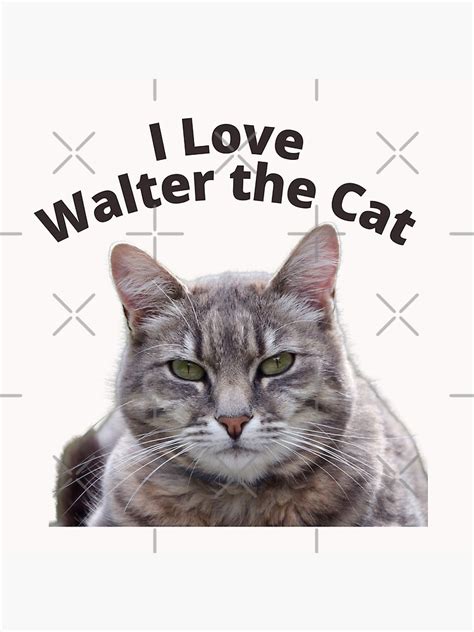 "Walter The Cat I Love Walter The Cat" Poster by sojasquest2 | Redbubble