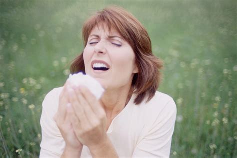 Why Fall Allergies Make You Sneeze | YourCareEverywhere