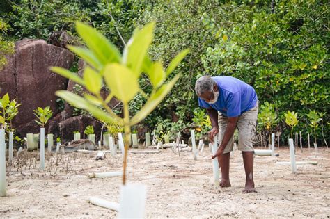 Challenges of Scaling Up and Financing Ecosystem-Based Adaptation in ...