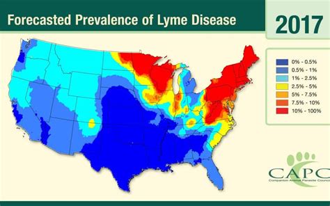 New Lyme Disease Map Outlines Where Ticks are on the Rise | Physician's Weekly for Medical News ...