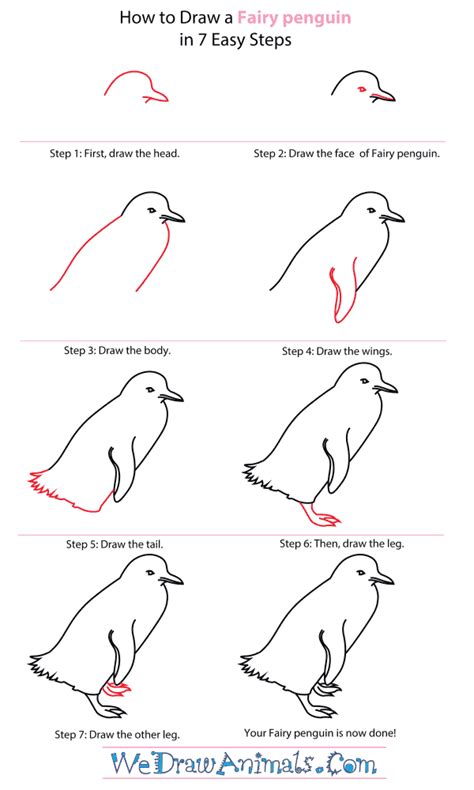 How To Draw A Penguin Step By Step For Beginners at Drawing Tutorials