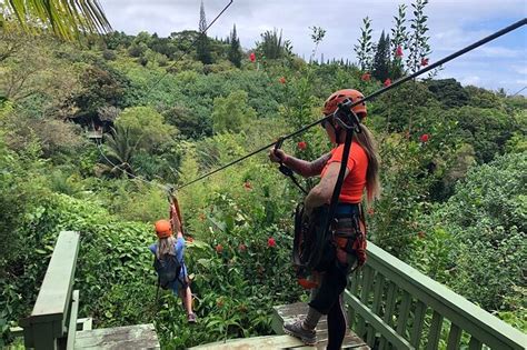 5 Best Maui Zipline in 2024