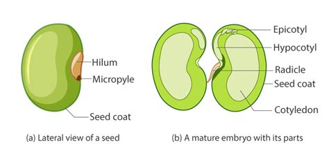 Biology 2