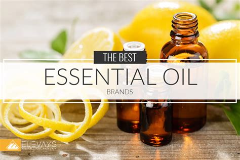 What are the Best Essential Oil Brands? - Elevays