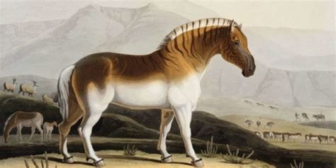 Recently Extinct Animals: List Of Extinct Species 2021 ️