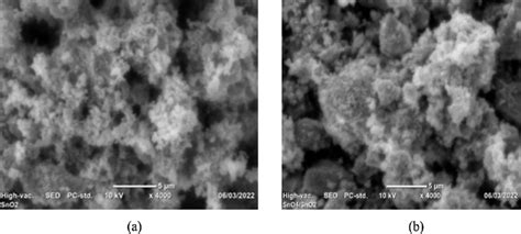 SEM images of tin (IV) oxide (a) and sulfated tin (IV) oxide (b ...