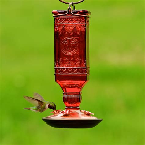 Perky-Pet® Red Square Antique Bottle Glass Hummingbird Feeder Model ...